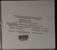 Image Associated With the Occurence